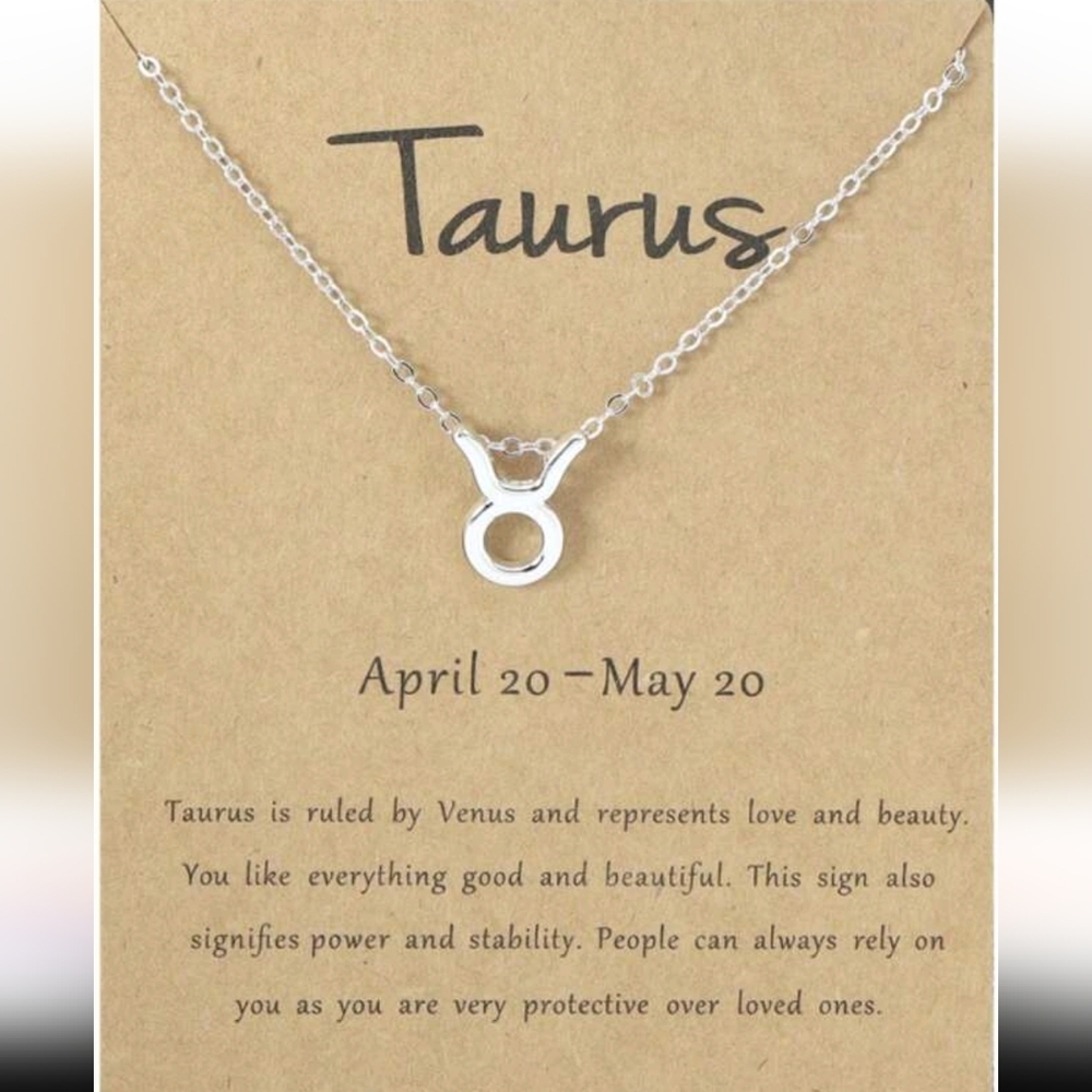 Silver Zodiac Necklace